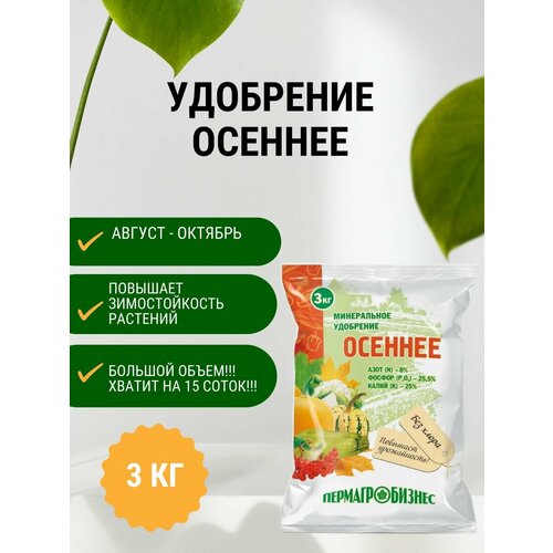 ������ ������ ��������� ������� 3 �� ����