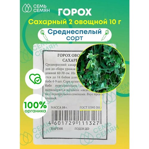 ������ ������ ������. ����� 