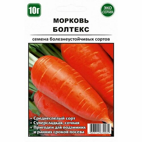 ������ ������ ������� ������� 10 � ����