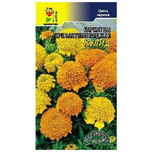 ������ ������ ������ �������� ��� 