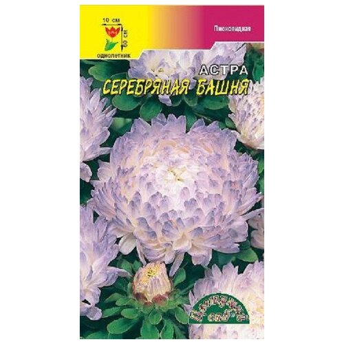 ������ ������ ������ �������� ��� 