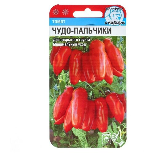 ������ ������ ������ ����� 