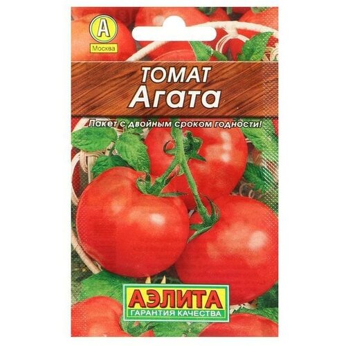 ������ ������ ������ ����� 