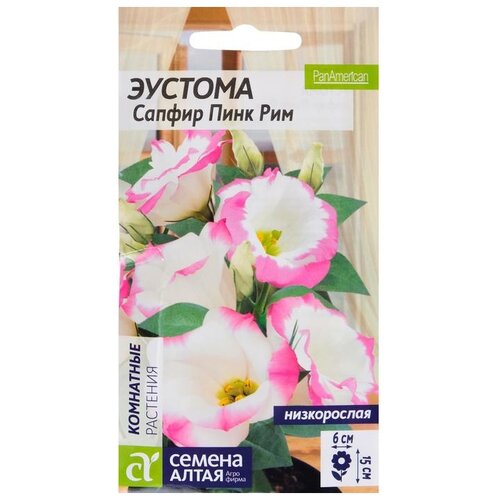 ������ ������ ������ ������ ����� ������� ������ ���� ��� 5 �� ����