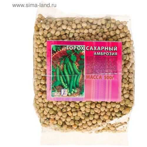 ������ ������ ������ ����� 