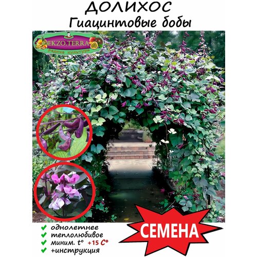 ������ ������ ������ �������, ����������� ����, �������� ������ 5 ��. ����