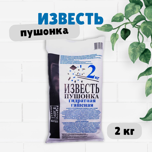 ������ ������ ������� ������� ����� ��������� �������, 2 ��. ����