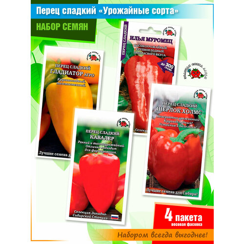 ������ ������ ����� ����� �������� ����� 