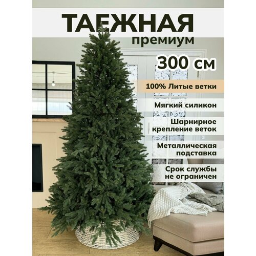 ������ ������ ���� ������������� ���������� ����� ��������� ��� ��������� ����