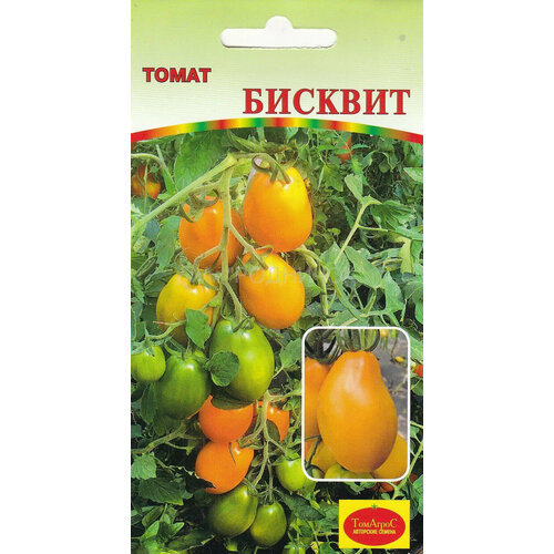 ������ ������ ������ ����� ������� 10�� ����� (�����) ����