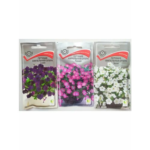 ������ ������ ������� ����� �����, �����, ������� ����