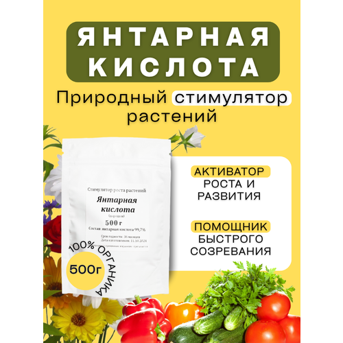 ������ ������ �������� ������� ��� ��������� �������� 500� � ����������� ���������� ����� � ���������� ����