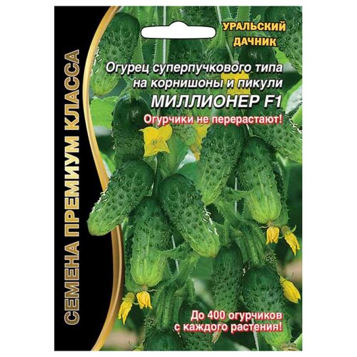 ������ ������ ������ ��������� ������ ������� ������ ��������� F1 ����