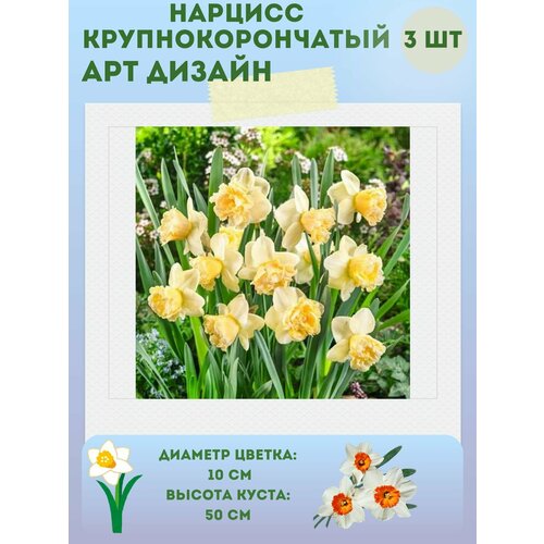 ������ ������ ������� �� ������, ����������� �����, �������� 3 �� ����