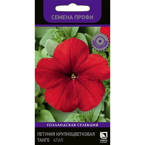 ������ ������ ������ ������� ����� ���� ��������������� 15�� ��� 35�� (�����) ������ ����� ����