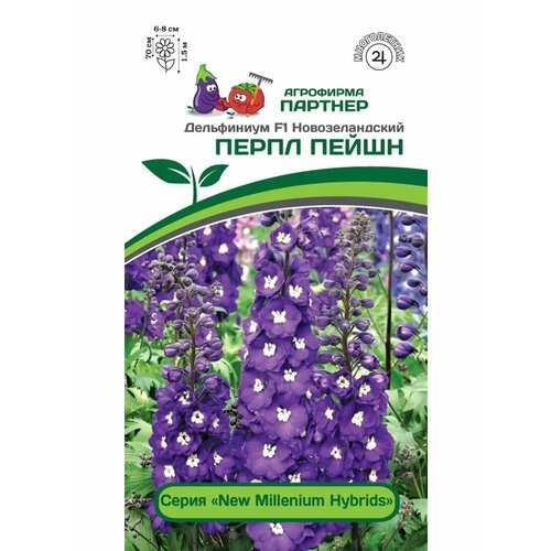 ������ ������ ���������� 