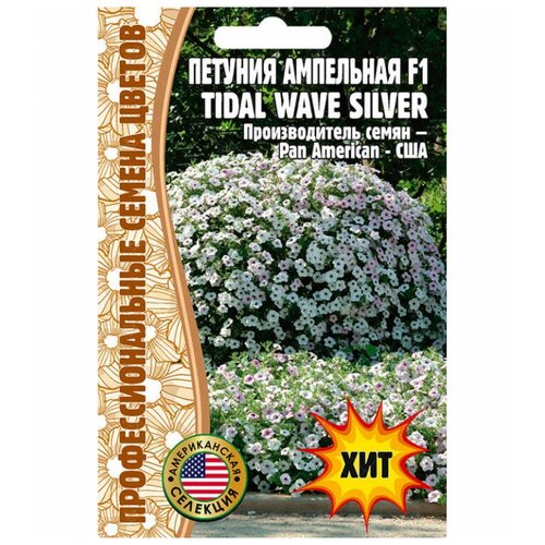 ������ ������ ������ ������� ��������� 