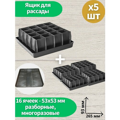 ������ ������ �������� 5 �� ���� ��� ������� ��������� ��-16 ����