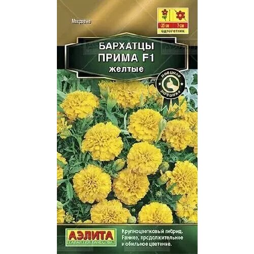 ������ ������ �������� ����������� ����� ������ F1, ������ ������ 15�� ����