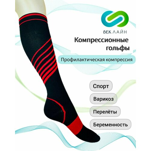 ������ ������ ������ �������������� ����������������, 2 ������, �����-������� ����