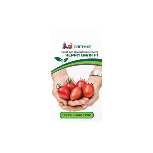 ������ ������ ������� ����� ����� 