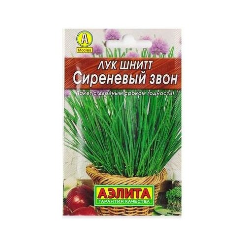 ������ ������ ��� ����� 