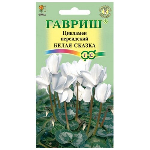 ������ ������ ������ ������ �������� ����� ������ ���������� 3 �� ����