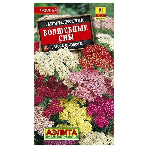 ������ ������ ������. ������������� 