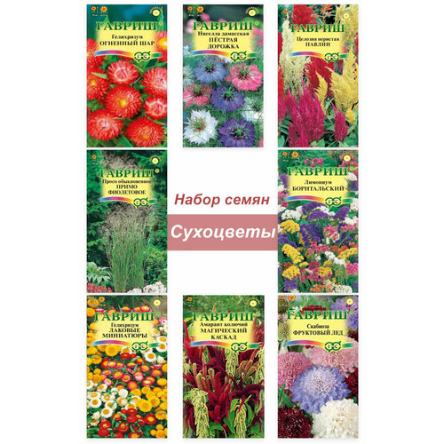 ������ ������ C����� ���������� ������ ���������� ����