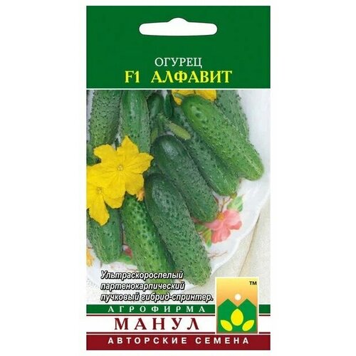 ������ ������ ������ ������� F1 10�� �����, 1��. ����