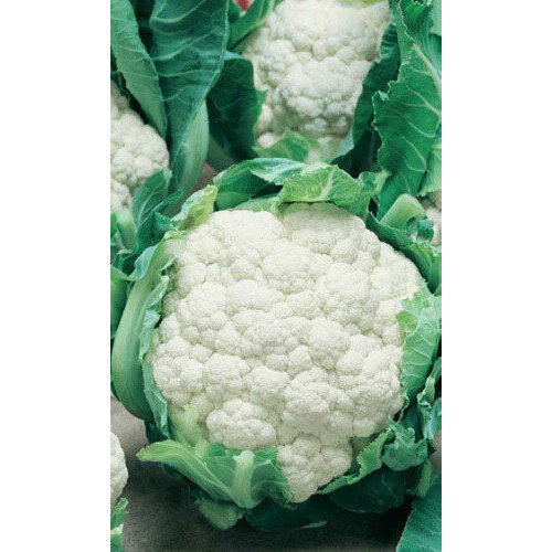 ������ ������ ������ ������� ������� �������� 123 0,25�� (��) �/� ����