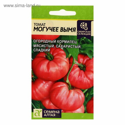 ������ ������ ������ ����� 