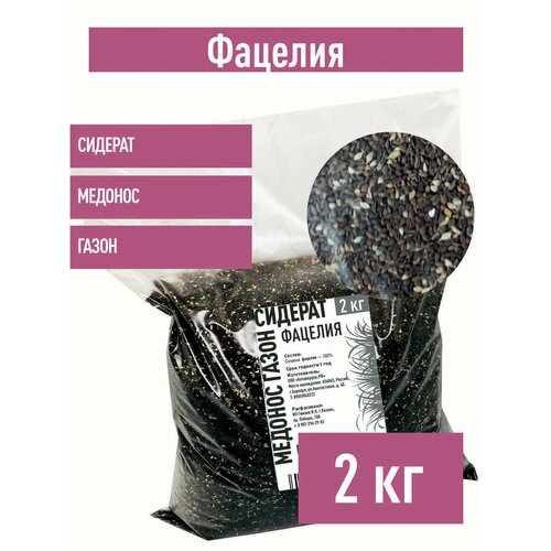 ������ ������ ������� ������, 2 �� ������� ������� ����� ����