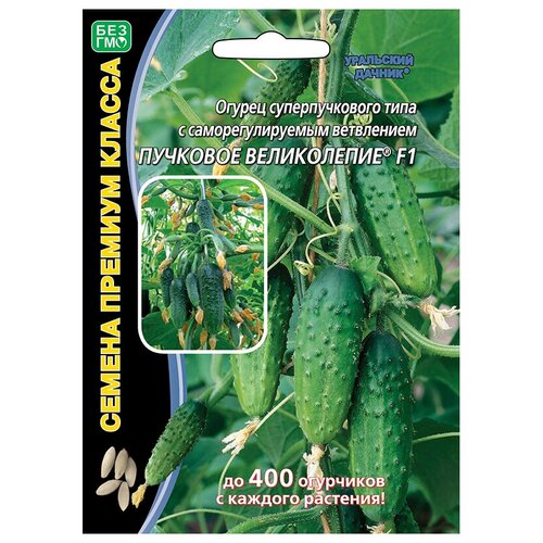 ������ ������ ������ ��������� ������ ������� ������ �������� ����������� F1 5 ��. ����