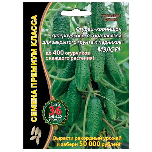 ������ ������ ������ ��������� ������ ������� ������ ���� F1 5 ��. ����