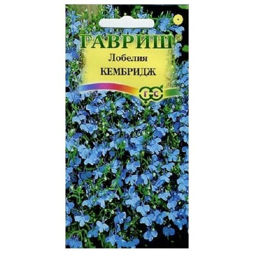 ������ ������ ������ ������ ������� �������� 0,01 � ����