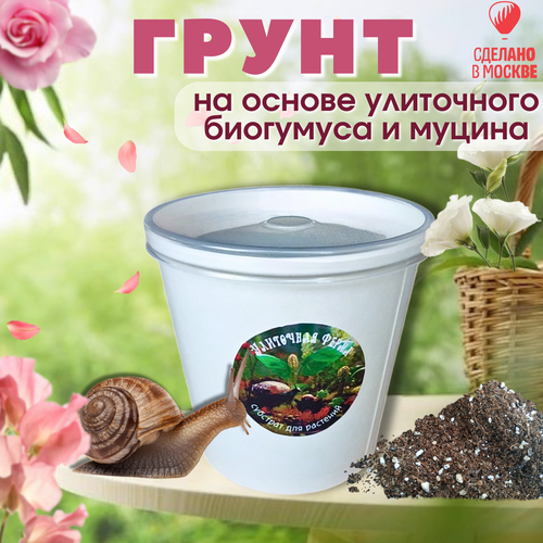 ������ ������ �������� �1. ��������� ����� XL. ������������� ����� ��� ��������, ��������� ����