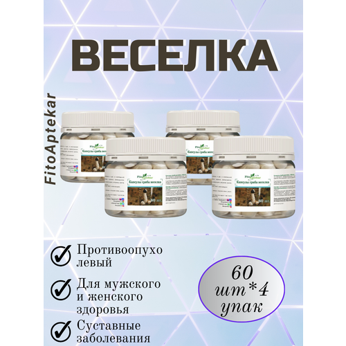 ������ ������ ���� ������� � �������� 60��*4 �������� ����