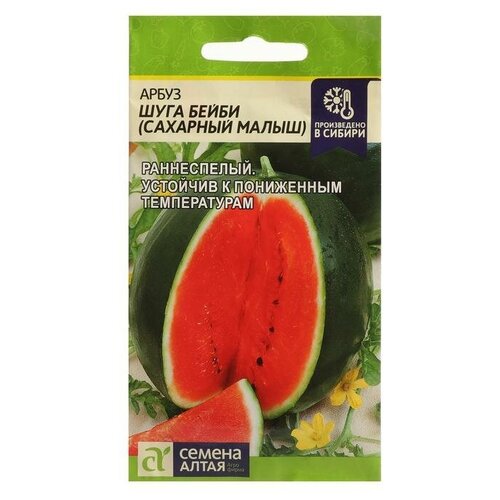 ������ ������ ������ ����� 