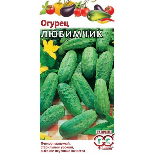 ������ ������ ������ ������ ��������, 0,5�, ������, ������� ��������� ����