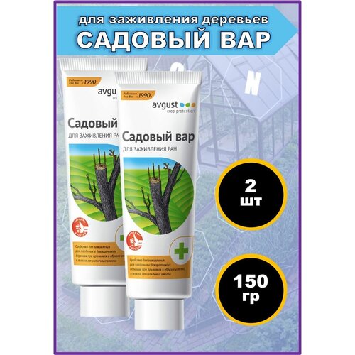 ������ ������ �������, �������� ��� Avgust, ��� ���������� ��� � �������� ��������, 150 � � ������. ����� 2 ��. ����