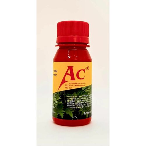 ������ ������ �� ������ 50�� /�������� �� �������� ��������� �������� ����