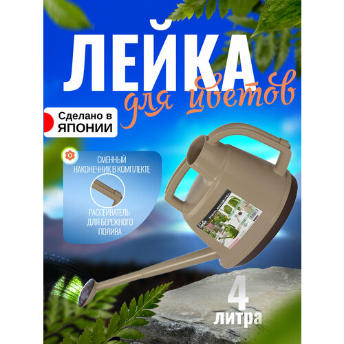 ������ ������ ����� ������� ��� ������ 4 �, 36�19�25,5 �� ����