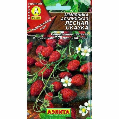 ������ ������ ������ ��������� ������ ������ (������) 0,04� ����