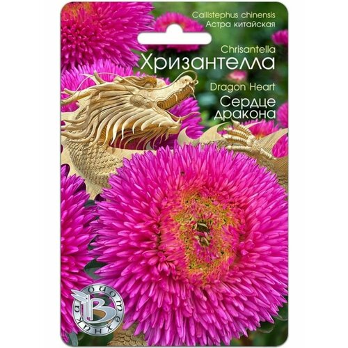 ������ ������ ������ ����� ��������� ����������� 