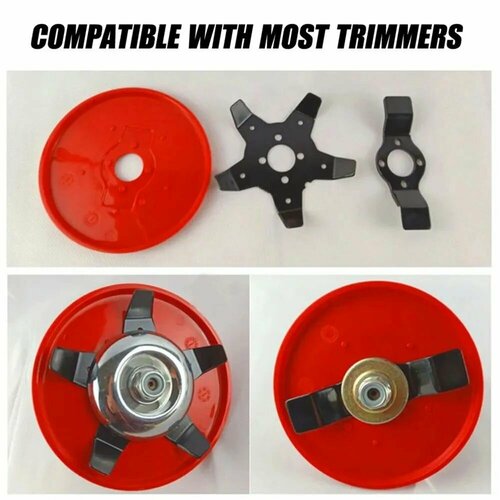 ������ ������ ���������� ����