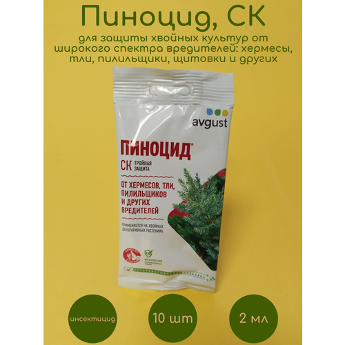 ������ ������ ������� �� ���������� ��� ������� 10 �� �� 2 �� ����