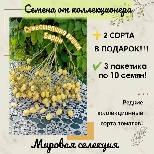 ������ ������ ����� ���������� ����� �����, ���� �����, �����-�����������, ������ �� ������������� ����