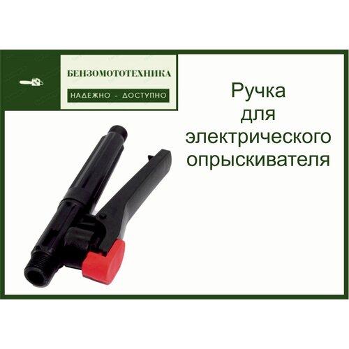 ������ ������ ����� ��� �������������� ������������� ����