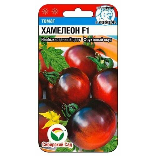 ������ ������ ������ ����� �������� F1 15�� ����� ������ (��������� ���) ����